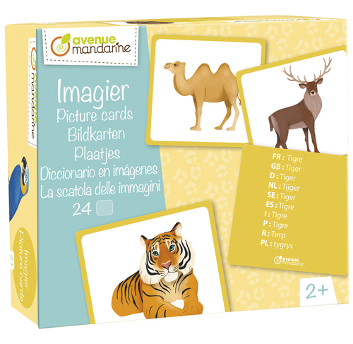 Tarjetas ilustradas, Animales salvajes