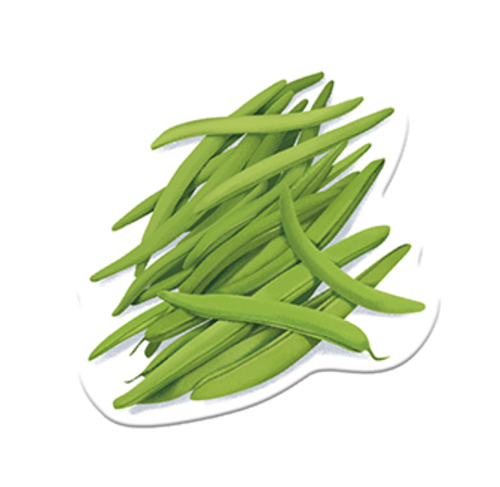 zoom_JS004C_9.jpg