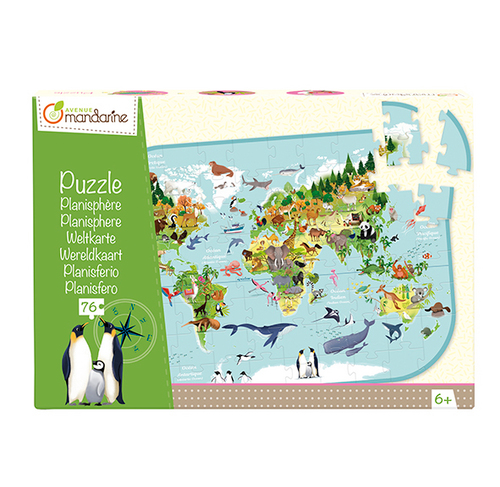 Puzzle, Planisphere